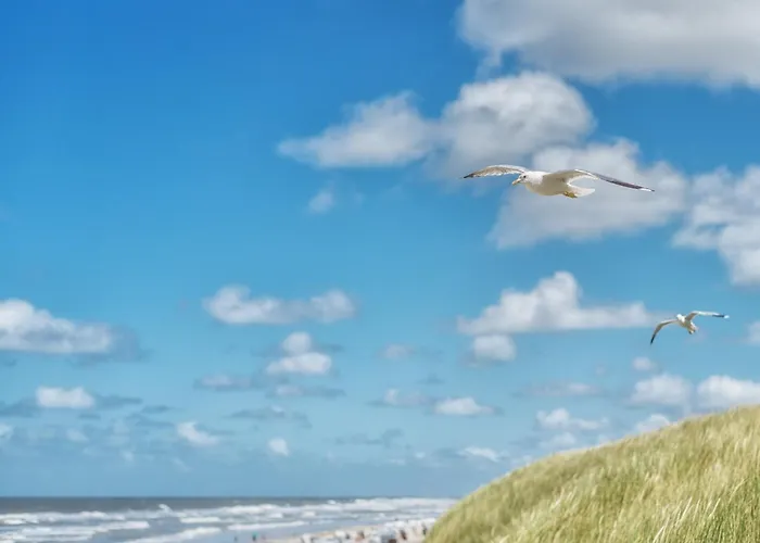 Arche Svea Taube Апартаменты *